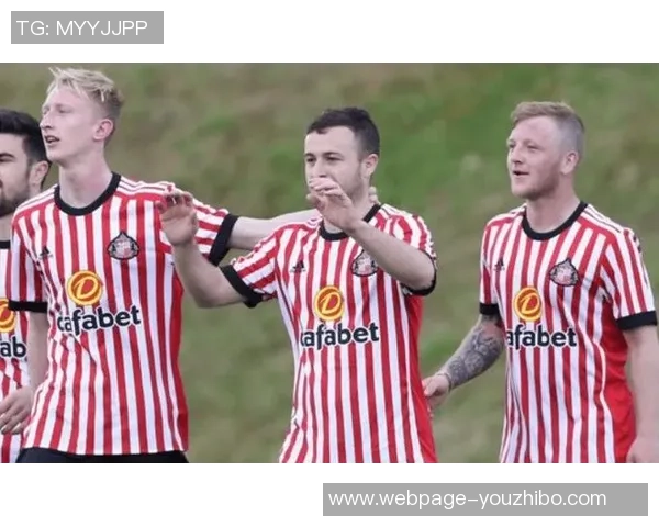 加的夫城与纽卡斯尔联赛前分析及战术对比探讨